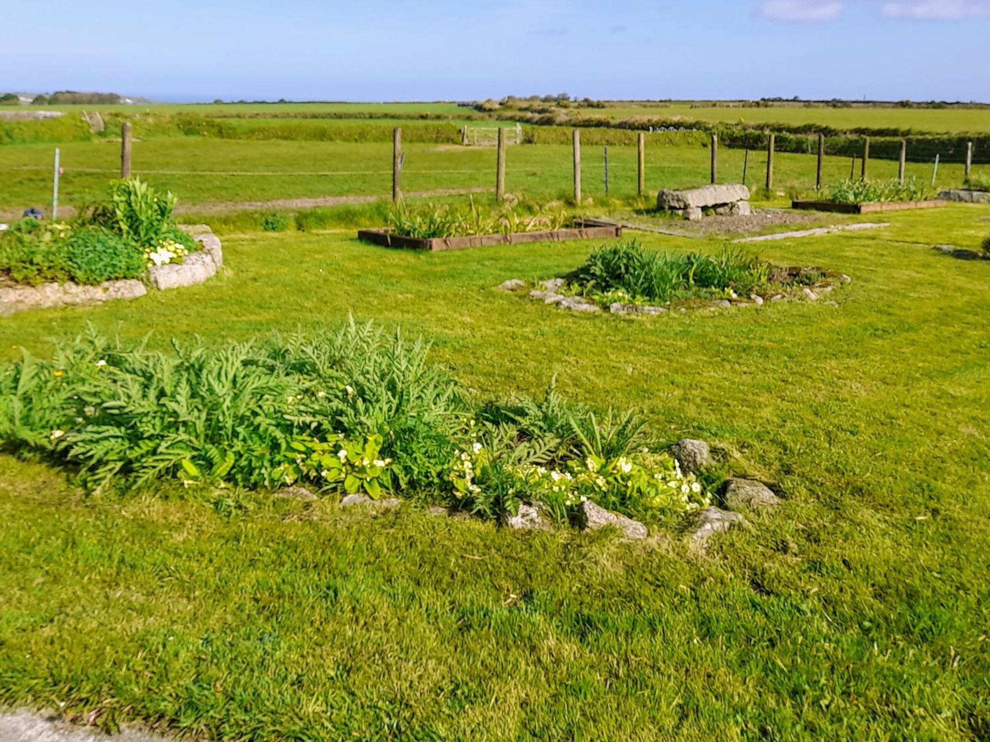 Ash Tree Cottage Carnbrea Buitenkant foto
